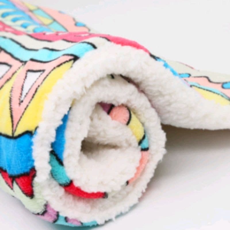 Colorful Pet Blanket