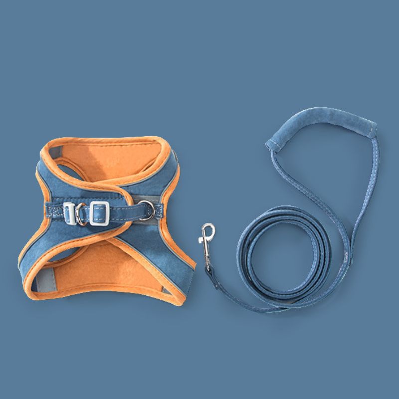 Cat or Small Dog Harness and Leash Orange and Blue
