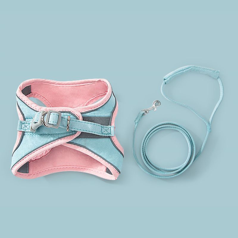Cat or Small Dog Harness and Leash Pink and Blue