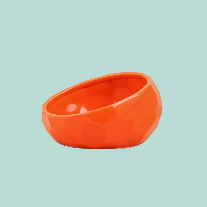Pakypet Ceramic Dog Food Bowl Orange