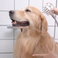 Dog Bath Shower Head Massage Brush