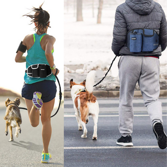 Hands-Free Dog Leash with Waist Pouch