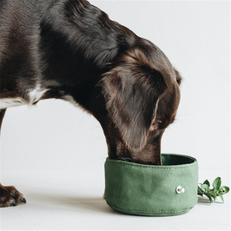 Foldable Waterproof Soft Dog Food Bowl Green